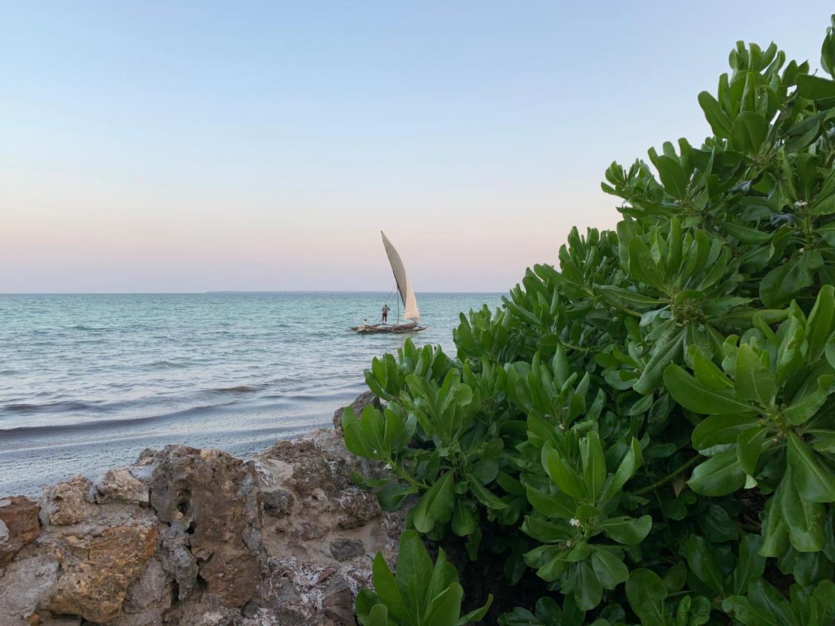 Palumboreef Beach Resort Uroa Bagian luar foto